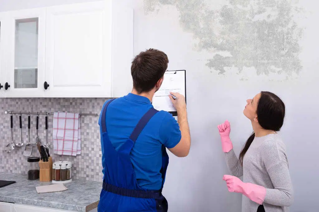 Mold Testing